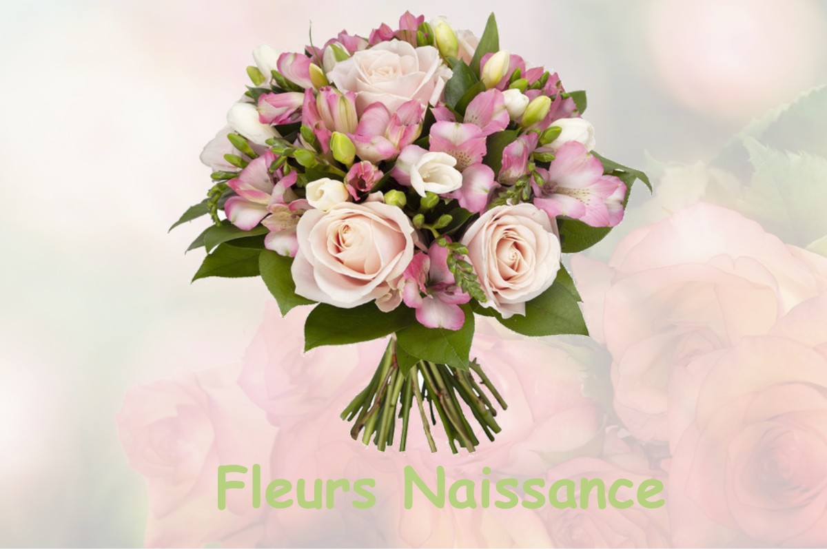 fleurs naissance CANENX-ET-REAUT