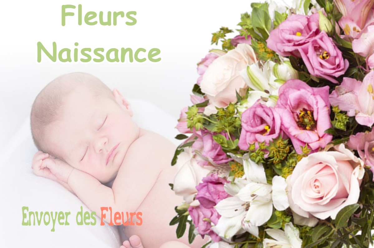 lIVRAISON FLEURS NAISSANCE à CANENX-ET-REAUT